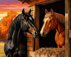 Stallvenner i Solnedgang